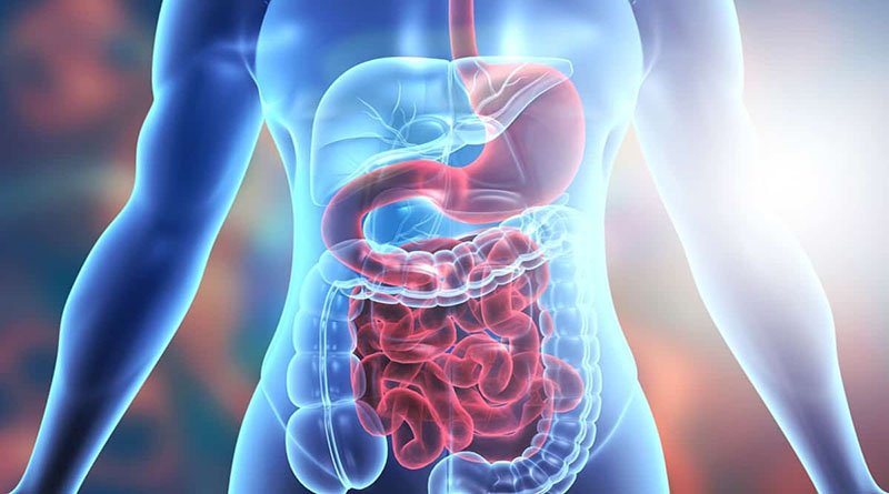 Natural Remedies For Digestive Issues Tips For A Healthy Gut