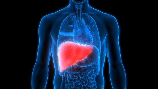 Improve Fatty Liver Diseases