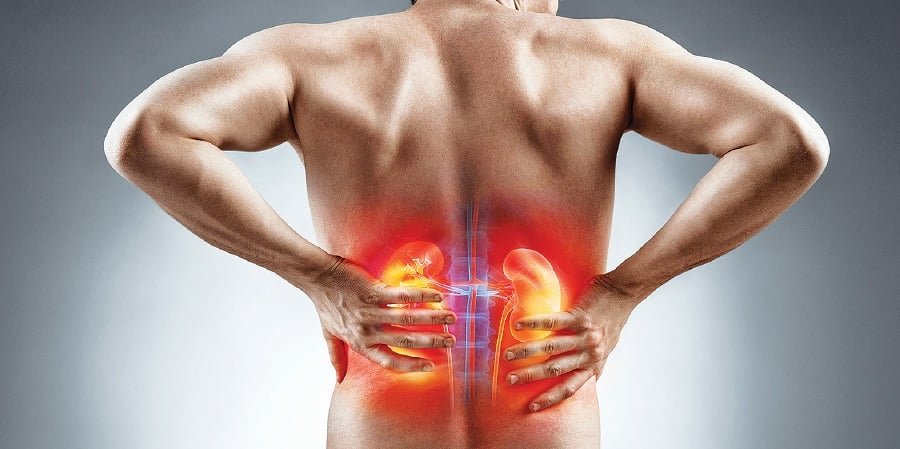 Symptoms of Damaged Kidney 