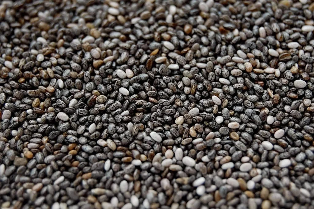 चिया सीड्स (Chia Seeds)