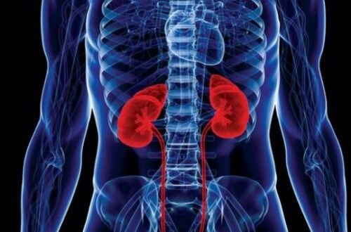 Kidney Damage Symptoms