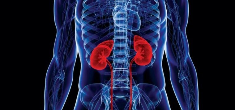 Kidney Damage Symptoms