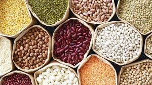  Legumes and Lentils